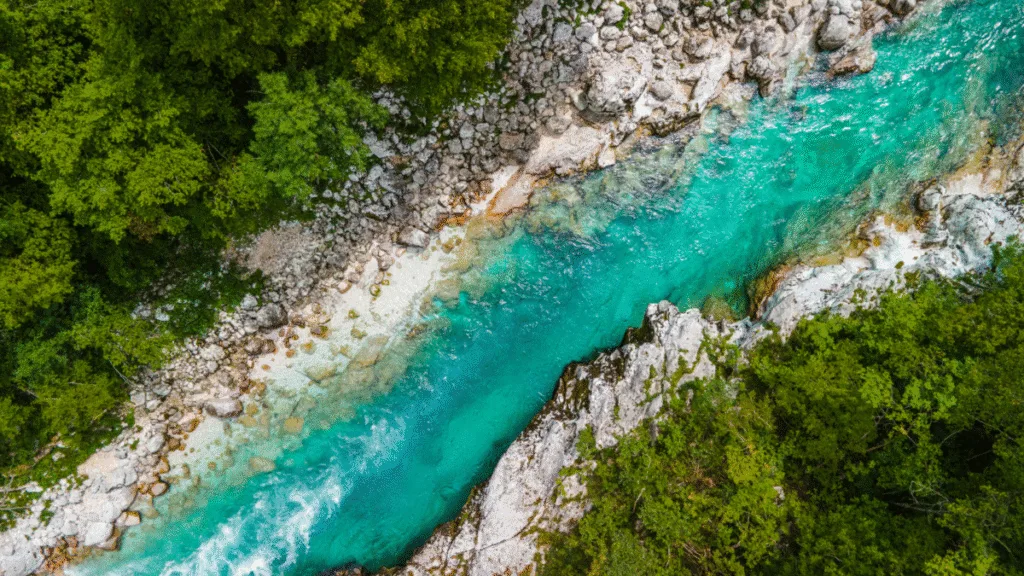 Aerial view of the turquoise Soča River surrounded by rocks and lush green forest