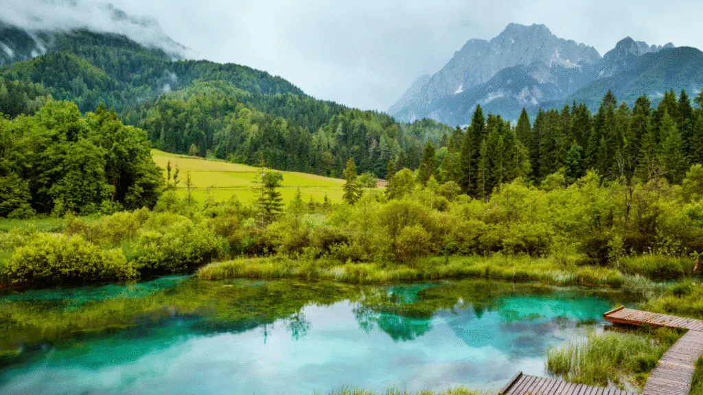 Scenic view of Zelenci Springs with vibrant green forest and misty mountains in the background