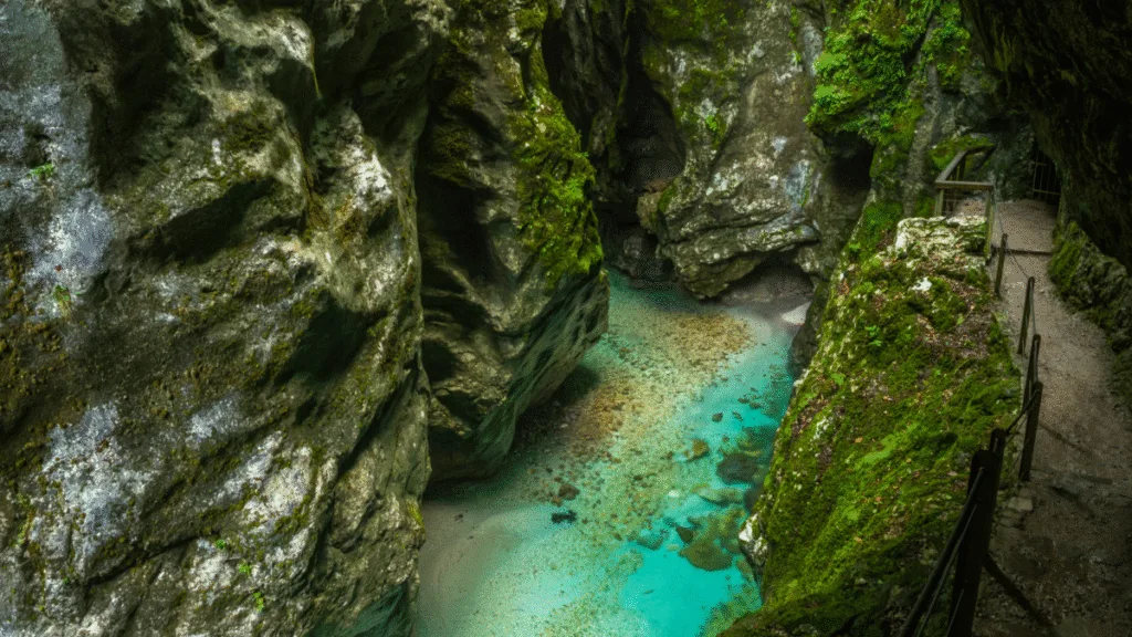 Crystal-clear stream running through the rocky Tolmin Gorge with moss-covered cliffs